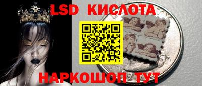 шишки Ярославль