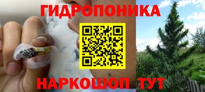 спиды Янаул