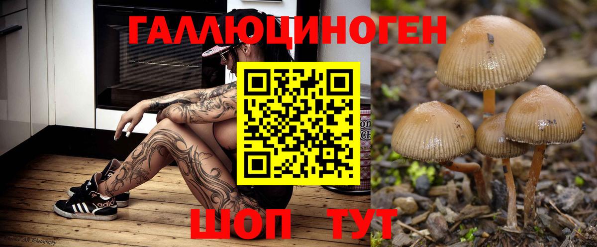 Псилоцибиновые грибы MAGIC MUSHROOMS Горно-Алтайск