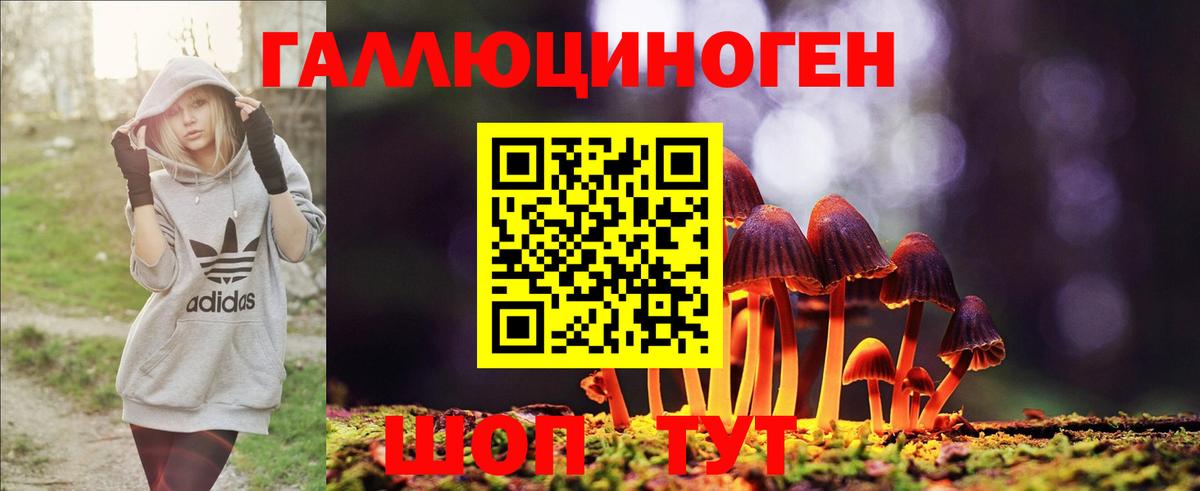 Горно-Алтайск  Галлюциногенные грибы MAGIC MUSHROOMS  Вход с VPN 